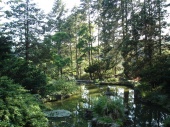 DSC08210.JPG